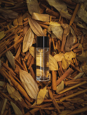 株式会社セントネーションズのプレスリリース画像7