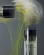 株式会社セントネーションズのプレスリリース画像7