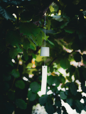 株式会社セントネーションズのプレスリリース画像1