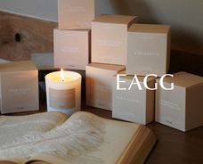 株式会社セントネーションズのプレスリリース画像4