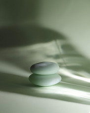 株式会社セントネーションズのプレスリリース画像6