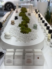 株式会社セントネーションズのプレスリリース画像8