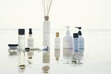 株式会社セントネーションズのプレスリリース画像13