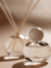 株式会社セントネーションズのプレスリリース画像2