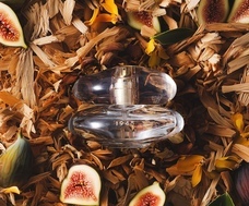 株式会社セントネーションズのプレスリリース画像1