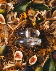 株式会社セントネーションズのプレスリリース画像6