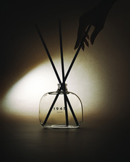 株式会社セントネーションズのプレスリリース画像2