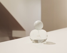 株式会社セントネーションズのプレスリリース画像5