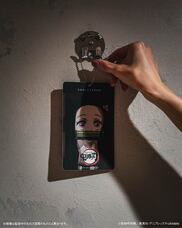 株式会社セントネーションズのプレスリリース画像3