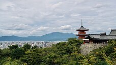 株式会社セントネーションズのプレスリリース画像3