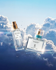 株式会社セントネーションズのプレスリリース画像4