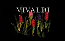 VIVALDIのプレスリリース画像3
