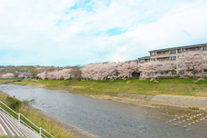 杜の里商店会のプレスリリース画像3