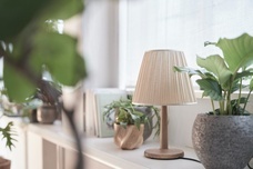 linea株式会社のプレスリリース画像1