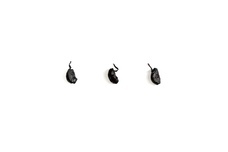 発芽黒本舗のプレスリリース画像1