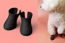 犬の靴屋さんDogSoxxのプレスリリース画像2