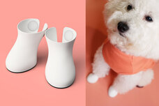 犬の靴屋さんDogSoxxのプレスリリース画像1