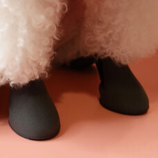 犬の靴屋さんDogSoxxのプレスリリース画像6