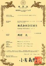 株式会社DEMSのプレスリリース画像1