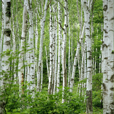 合同会社 88PEAKSのプレスリリース画像1