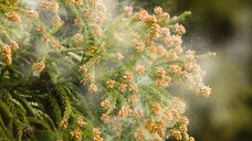 一般社団法人 寝室環境衛生管理協会のプレスリリース画像1