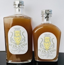 COLANDのプレスリリース画像1