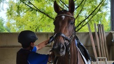 株式会社　馬事学院のプレスリリース画像6