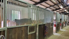 株式会社　馬事学院のプレスリリース画像8