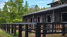 株式会社　馬事学院のプレスリリース画像3