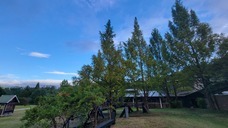 株式会社　馬事学院のプレスリリース画像2