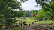 株式会社　馬事学院のプレスリリース画像7