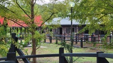 株式会社　馬事学院のプレスリリース画像4