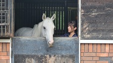 株式会社　馬事学院のプレスリリース画像9