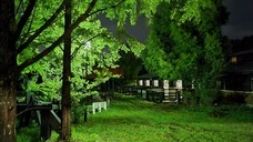 株式会社　馬事学院のプレスリリース画像6