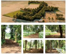 株式会社　馬事学院のプレスリリース画像3