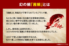 株式会社まうまうのプレスリリース画像4