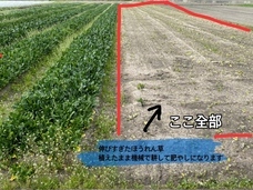 たこやき大王のプレスリリース画像1