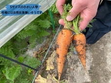 たこやき大王のプレスリリース画像3