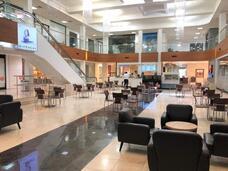 グアム政府観光局のプレスリリース画像2