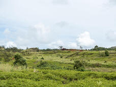 グアム政府観光局のプレスリリース画像7