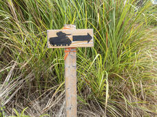 グアム政府観光局のプレスリリース画像8