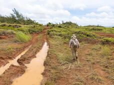 グアム政府観光局のプレスリリース画像5