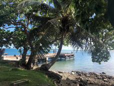 グアム政府観光局のプレスリリース画像2