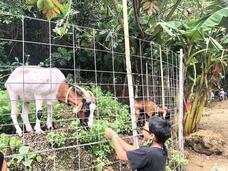 グアム政府観光局のプレスリリース画像5