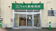 ちゅら動物病院のプレスリリース画像1