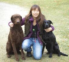 ドッグリサーチカンパニーのプレスリリース画像1