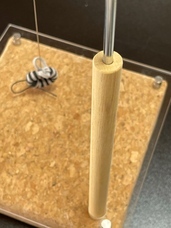 株式会社ねこ工房のプレスリリース画像6