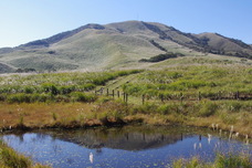 株式会社MIZUTORIのプレスリリース画像4