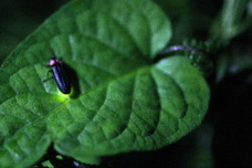 株式会社MIZUTORIのプレスリリース画像2