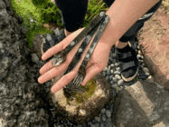 株式会社Little Stepのプレスリリース画像10